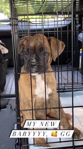 Daquana White on TikTok