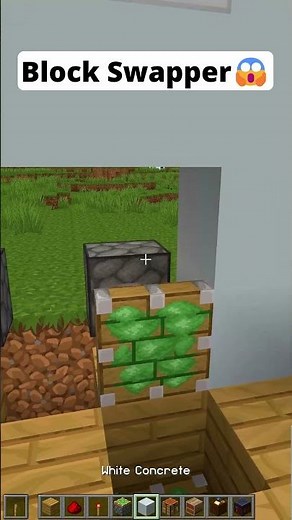 Minecraft Block Swapper😱 #shorts