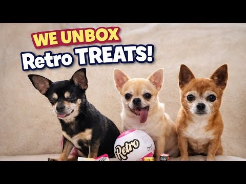 We UNBOX Retro Mini Brands! 🛍️ So Many Cute Finds! ✨🐾