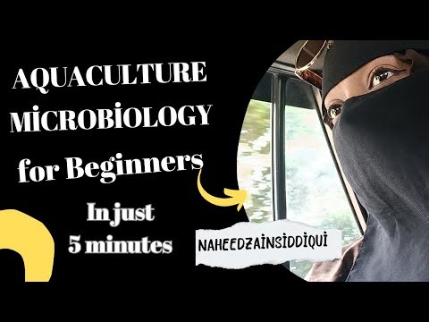 Aquaculture Microbiology for Beginners in Just 5 Minutes/@naheedzainsiddiqui / @Foodmicrobiology/
