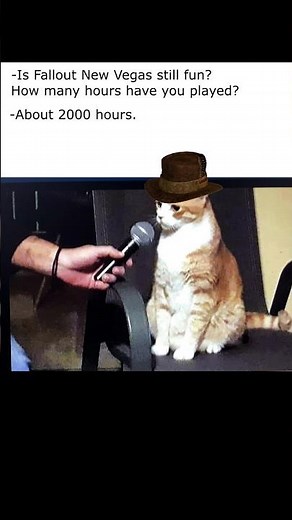 Fallout New Vegas player be like...