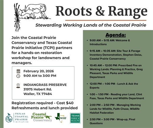 Coastal Prairie Conservancy on Instagram: "Join us at Indiangrass Preserve for a hands-on day of learning, networking, and field-based demonstrations focused on building healthy prairies, productive working lands, and resilient wildlife habitat. This adult education workshop is offered through the Texas Coastal Prairie Initiative, a collaborative effort led by Coastal Prairie Conservancy to advance land stewardship and restoration across the Texas coastal prairie. 👩‍🌾 Designed fo