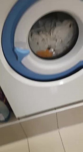 Die Waschmaschine #wschmascine #ärgern