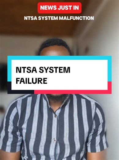 The News Guy on TikTok