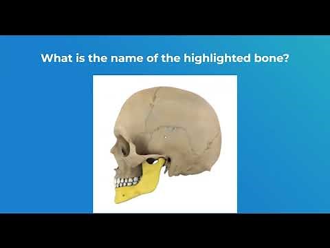 Using iClicker in Class