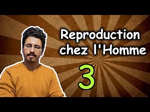 la reproduction - 2AC - BIOF - partie 3 - التوالد عند الانسان بالفرنسية