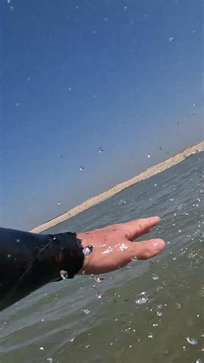 Wave 6 - Longboarding small waves with ease @ COTSO #Shorts