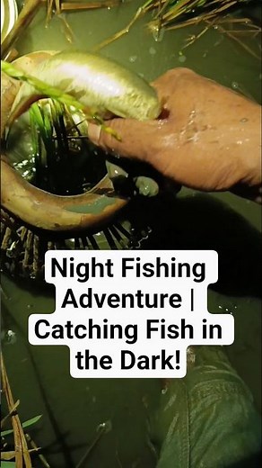 Night Fishing Adventure | Catching Fish in the Dark! #nightfishing #outdooradventure