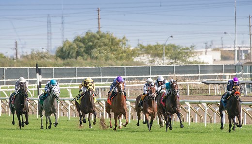 150 Kentucky Derby Messages, Captions, Texts, and Quotes for 2025