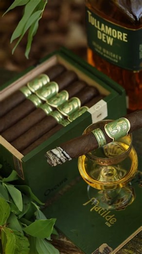 Matilde Oscura #cigar #smoke #lighter