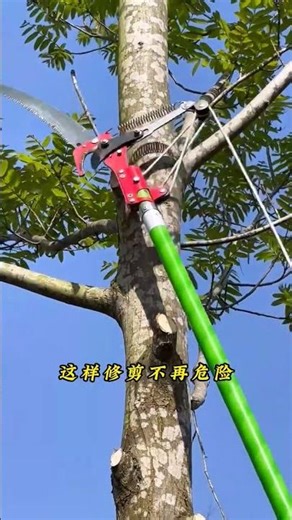 No More Ladders! The Safe Way to Prune High Tree Branches 🪚🌳 #undergrowth #thehangingtree