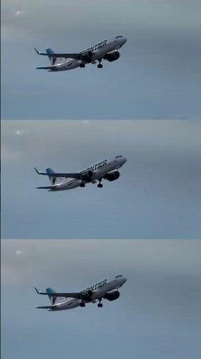 ₹charai_tu_ud_ jaibu#shortvideo