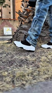 3.2K views · 512 reactions | BOTÍN EN PYTHON COLOR NEGRO ‼️鸞 #fyp #parati #virals | El Guero Boots | Facebook