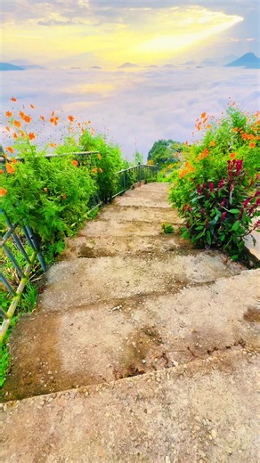 Manungkot #manungkot_damauli #umbrellarestro #travel #abovetheclouds #badal_maathi_ko_restro