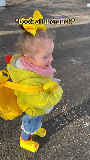 Heartwarming Toddler Moment at the Park with Ducks