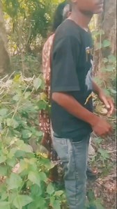 139K views · 2.4K reactions | jangal me mangal karte hua padkaya #रील्स #viralvideochallenge #trandingreels #jangal | Komal Kumari | Facebook