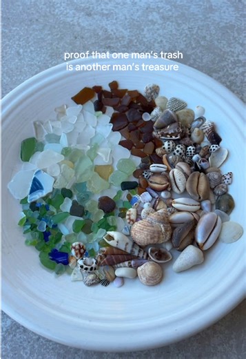 Gifts from the Ocean: Shells and Sea Glass