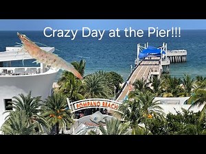 Fishing Frenzy at Pompano Pier – What a Day!