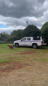 VIDEO - QUEENSLAND 4 the win | The Queensland Maroons are on the countdown for their third & final 2023 State of Origin game of the series & FNQ are hoping for a 3 /Nil result! Assistant Coach, Cameron Smith today pointed out that the recent visit to Cairns, reminded our Queensland team who they are playing for. Congratulations, Cairns & regional Queenslanders, you are at the forefront of the Maroons minds tonight. Coach Billy Slater has created a special bond with the team & they are ready to d