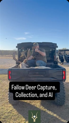 The Wildlife Vet | Full day of Fallow Deer capture, semen collection, and Artificial Insemination. #thewildlifevet #drsamwilkinson #exoticwildlifevet... | Instagram