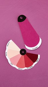 2.4K views · 20 reactions | Swatch, Stamp & Create!  Crafting the perfect color palette just got easier! Using the Color Swatch Wheel Etched Dies and Color Swatch Names Clear Stamp Set, we’re building a dreamy pink swatch—because there’s no such thing as too much pink!  Label your faves, mix & match, or create a full color wheel! Shop the collection - https://spellbinders.shop/41t95HG | Spellbinders Paper Arts | Facebook