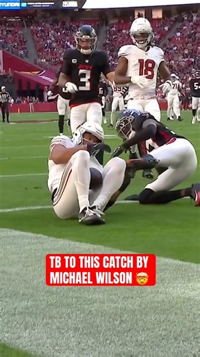 he’s like that🙂‍↕️ #azcardinals #nfl #football #catch #insane