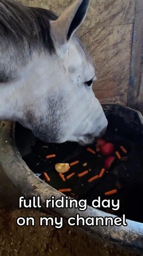 His Favorite Part of the Day