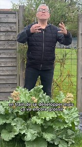 Les fleurs de rhubarbe on en fait quoi ? D’abord elles sont très jolies, mais si vous privilégiez les récoltes, il est préférable de les couper pour le bien de la plante ! A vous de choisir ! #jardin #nature #potager | Roland Motte