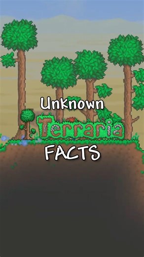 Unknown Terraria Facts. #terraria