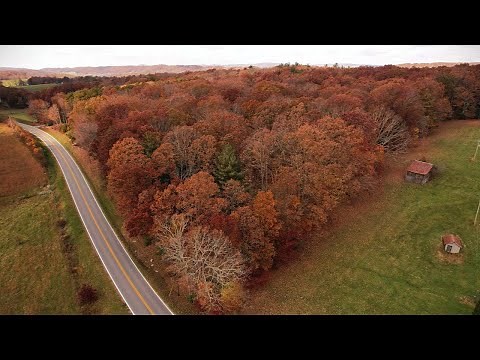 One of Appalachia's Best Kept Secrets: Sinking Creek Valley