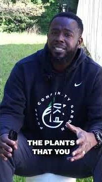 Why my garden is empty