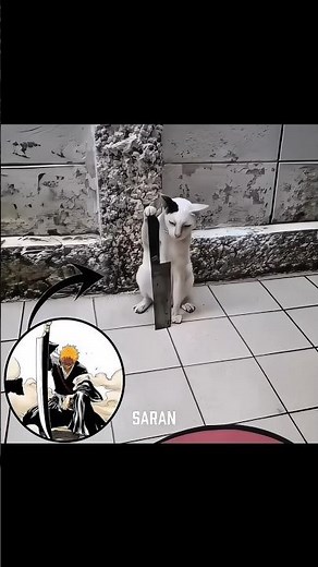 「AMV/EDIT」- Bankai Edit 🔥🥶 | MONTAGEM FEARLESS ULTRA SLOWED #bankai #bleach #shorts