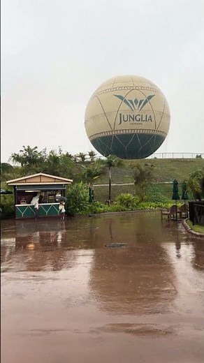 雨の沖縄ジャングリアを独り占め。幻想的な雨の森散策 | Rainy Junglia Okinawa Solo Walk 4K 降水確率10ミリ