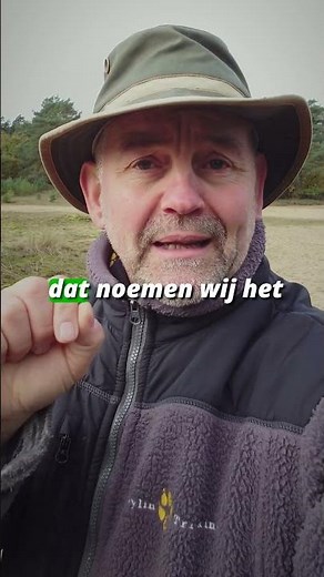 Zo herken jij een pootafdruk van een vos! 🦊🐾