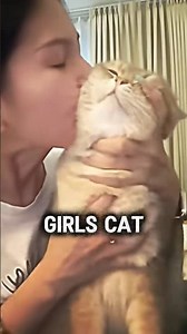 Girls Cat Vs. Boys Cat #cat #shorts