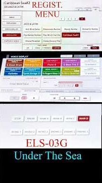 ELS-03G REGIST.MENU 4-4 LIVE EXP. FILL IN & USER / Under the Sea