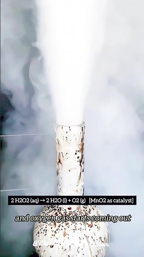 Hydrogen Peroxide + Manganese Dioxide | Instant Oxygen Gas Reaction! 😲