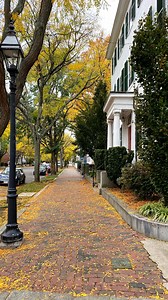 Places you must visit in Salem, Massachusetts🎃 While there’s tons of great places to visit in the witch city, here are my top recommendations: 🏡 Old Town Hall 🎡 Salem Common 🏛️ Rope’s Mansion (Allison’s house from Hocus Pocus) 🪦 Old Burying Point 🌲 Pioneer Village ⚓️ Salem Maritime National Historic Site 🧙‍♀️ The Witch House 🎟️ Peabody Essex Museum 👻 Halloween Museum of Salem 🪄 Wynott’s Wands 🐈‍⬛ Black Cat Curiosity Shop 📚 Wicked Good Books 🍽️ The Derby 🍣 Finz 🍹All Souls Lounge ✔️