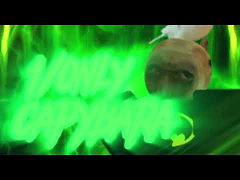 Capybara "capybara" theme song