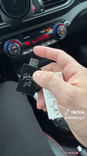 Best USB Prank Ideas with Screaming Goat