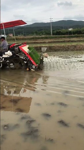 agriculture in southkorea🇰🇷