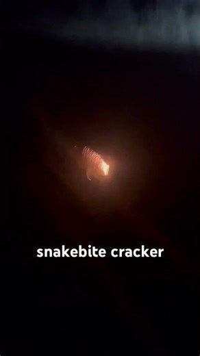 snake bite cracker #fireworks #pyrotechnica #banger #pyro