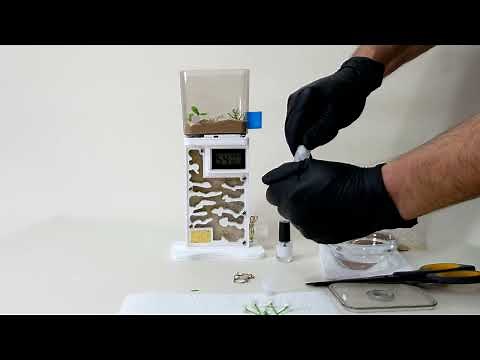 Best Ants UK Antie Ant Farm assembling instructions