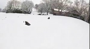 4.7K views · 199 reactions | Four clinical studies have shown how the...