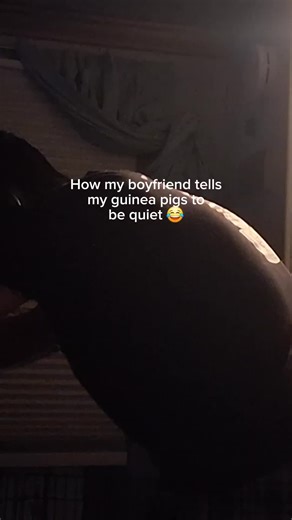 Celebrating Our Beloved Guinea Pigs