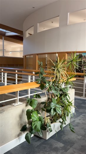 We have a wide range of study spaces available for you while Library at Murray undergoes its refurbishment! 👷 This week, we’re highlighting Library at David Goldman! ⭐️ You can find Library at David Goldman within the David Goldman Technology Centre on St Peter’s Campus. It has a range of different study spaces, access to PCs, bookable study rooms, and a printer! 📚 Make sure you check out the opening hours for Library at David Goldman before you visit! Link in bio! 👆 #UniofSunLib #StudySpaces