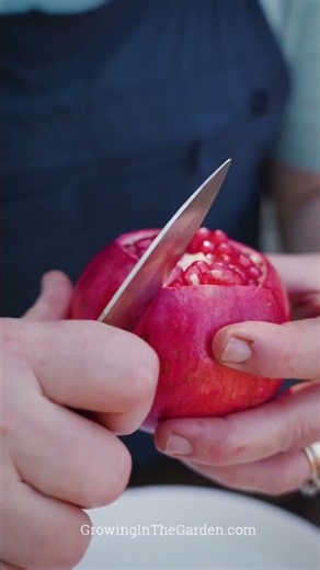 The Easiest Way to Remove Pomegranate Seeds