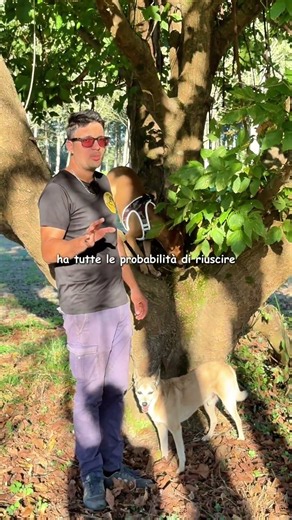 Insegnare il Richiamo al tuo Cane