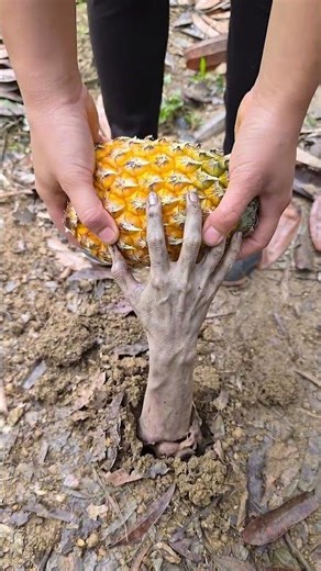 A strange hand snatched the pineapple! 😱💀 #survival #bushcraft #camping