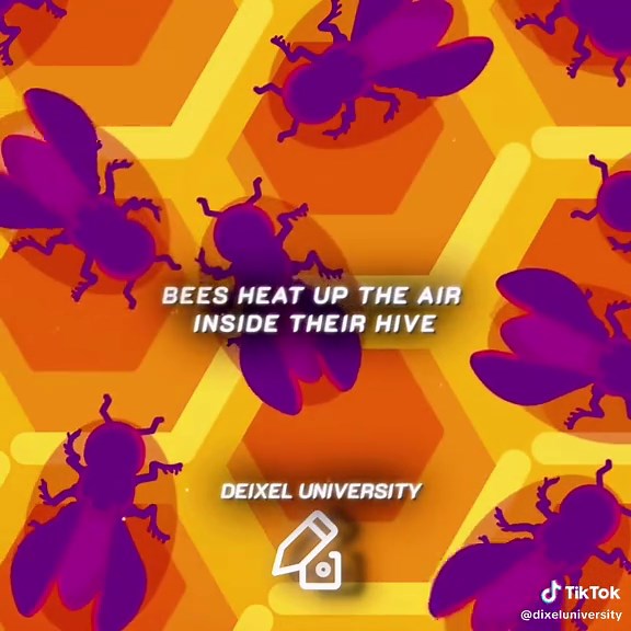 Understanding Your Immune System: A Kurzgesagt Guide